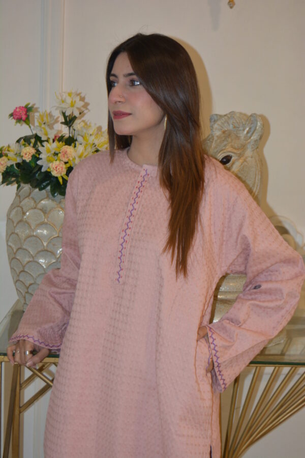 Soft Pink Embroidered Kurta - Image 4